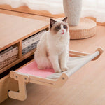 Flexicama™| CAMA FLEXIBLE PARA GATOS