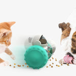 Dispensador didactico para mascotas