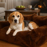 Cama Sofa Para Mascotas