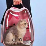 MALETA TIPO CAPSULA PARA MASCOTAS